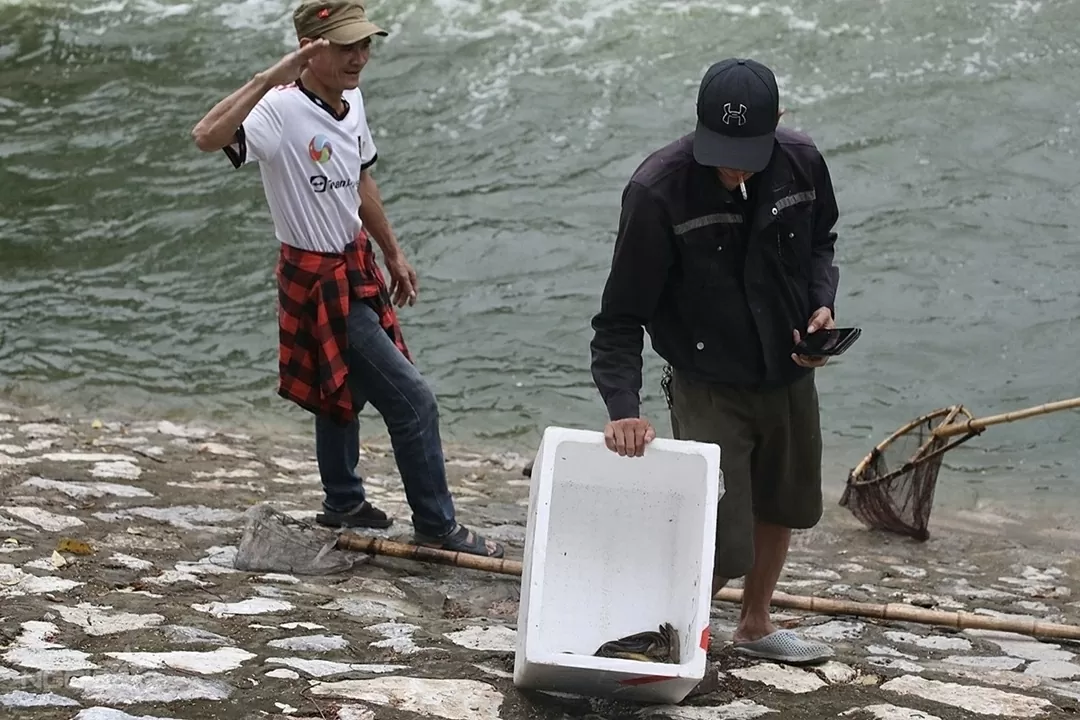 Sông Tô Lịch trong xanh trở lại