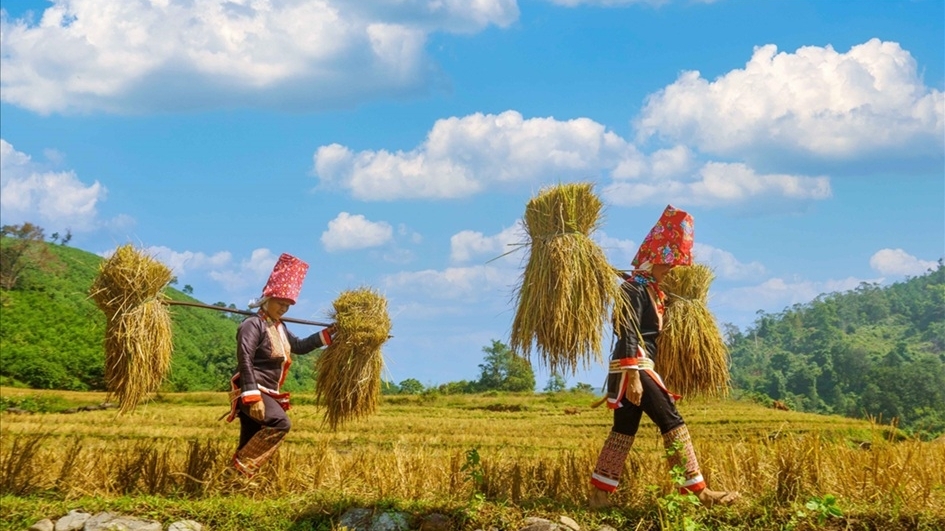 Quảng Ninh: Viết tiếp hành trình xây dựng những miền quê ấm no, trù phú, vì sự hạnh phúc của người dân