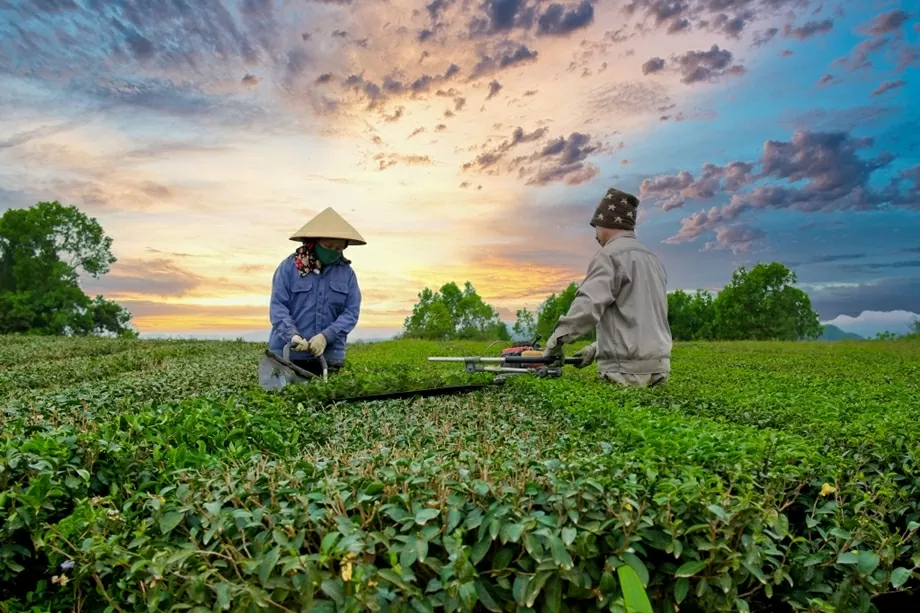 Quảng Ninh: Viết tiếp hành trình xây dựng những miền quê ấm no, trù phú, vì sự hạnh phúc của người dân