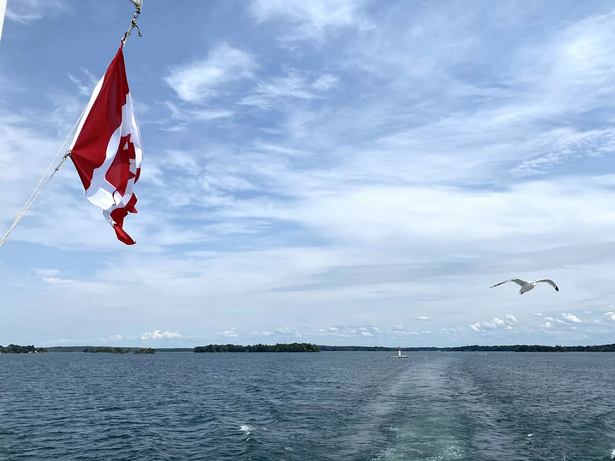 Chiếc lá đỏ trên tuyết trắng Chiếc lá đỏ trên tuyết trắng