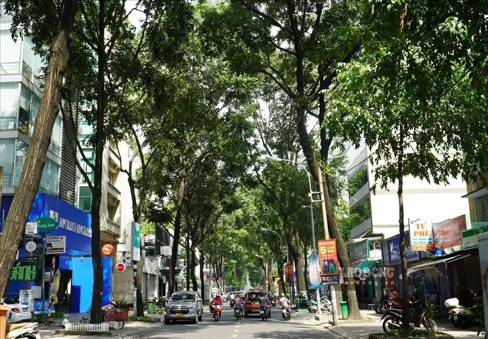 Phát triển hệ thống đô thị xanh: Giải pháp cấp thiết cho Việt Nam