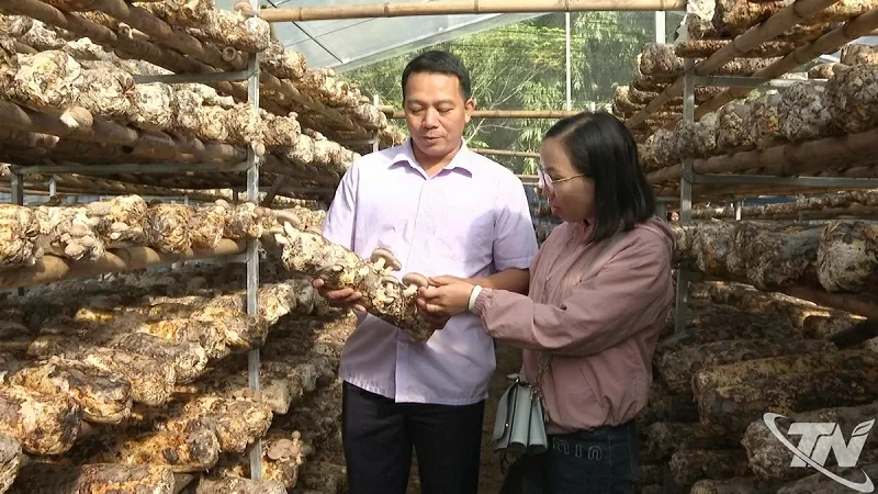 OCOP - Nâng tầm nông sản Thái Nguyên