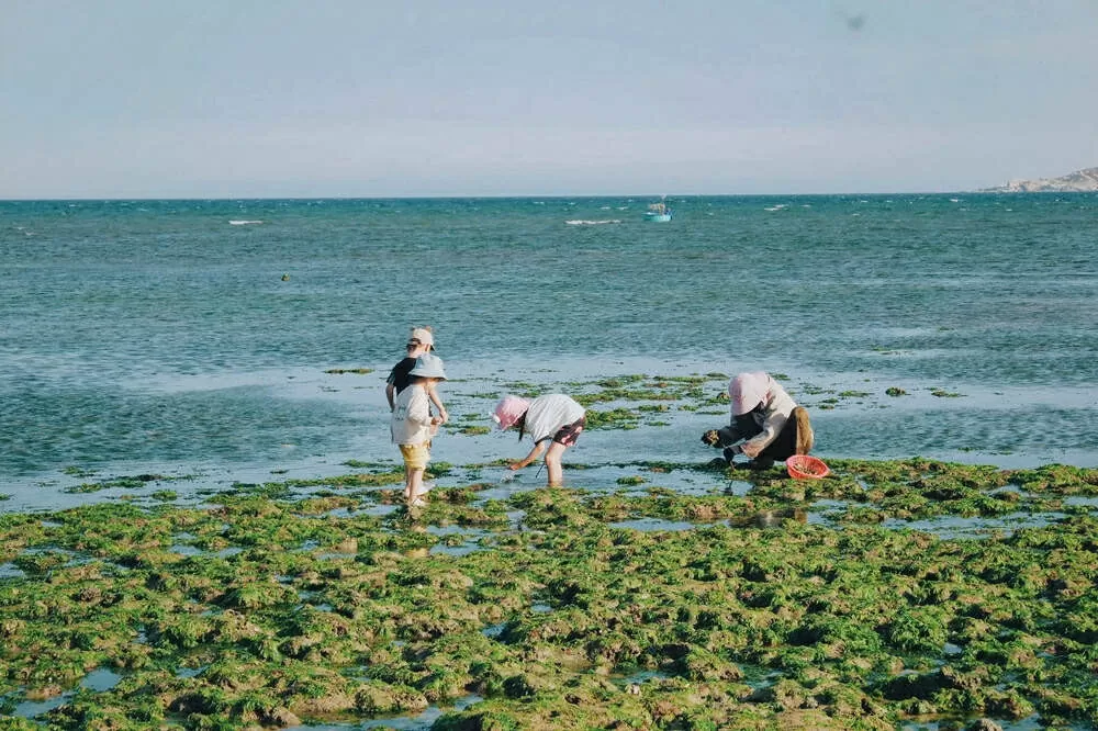 5 làng chài đẹp như phim ở Khánh Hòa, khách tha hồ check-in 5 làng chài đẹp như phim ở Khánh Hòa, khách tha hồ check-in