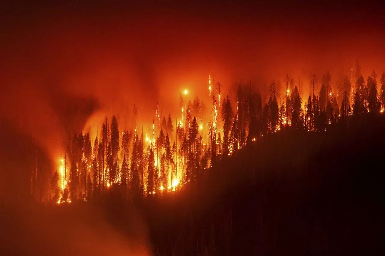 Ảnh ấn tượng: Tổng thống Mỹ 'tái xuất' một giải đấu sau 10 năm, cựu Thủ tướng Thái Lan chấp hành án tù, chính trường Nhật Bản lại biến động