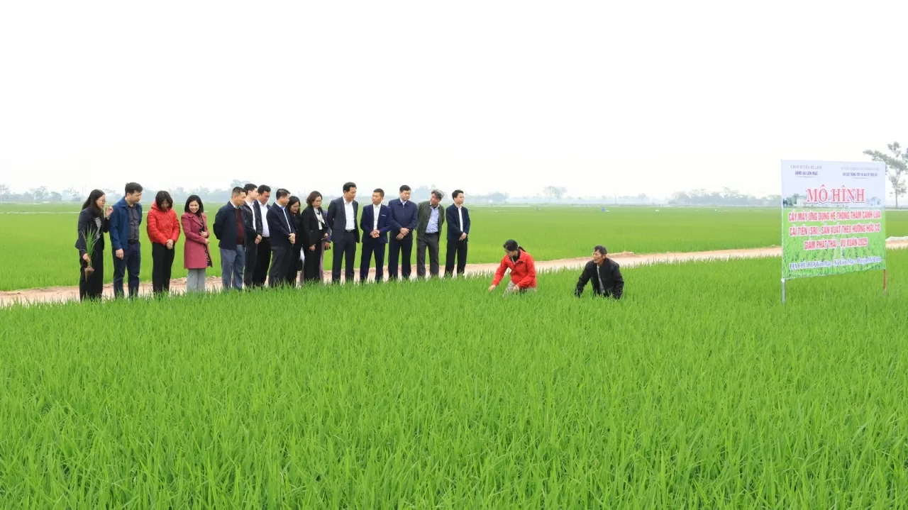 Hà Nội và dấu son mới trong hành trình xây dựng nông thôn mới