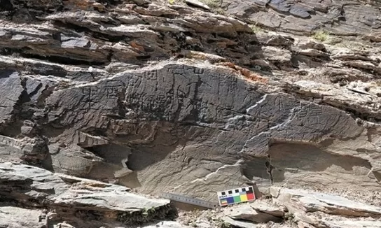 Tần Thuỷ Hoàng tìm thuốc trường sinh Tần Thuỷ Hoàng tìm thuốc trường sinh