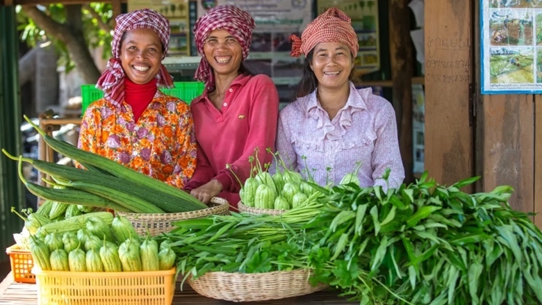 Liên hợp quốc - Hành trình 80 năm vì hạnh phúc, hòa bình cho nhân loại