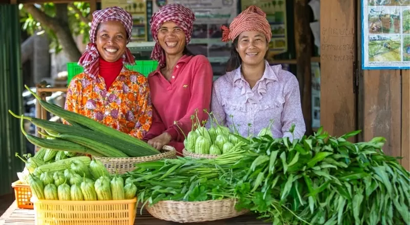 80 năm thành lập Liên hợp quốc