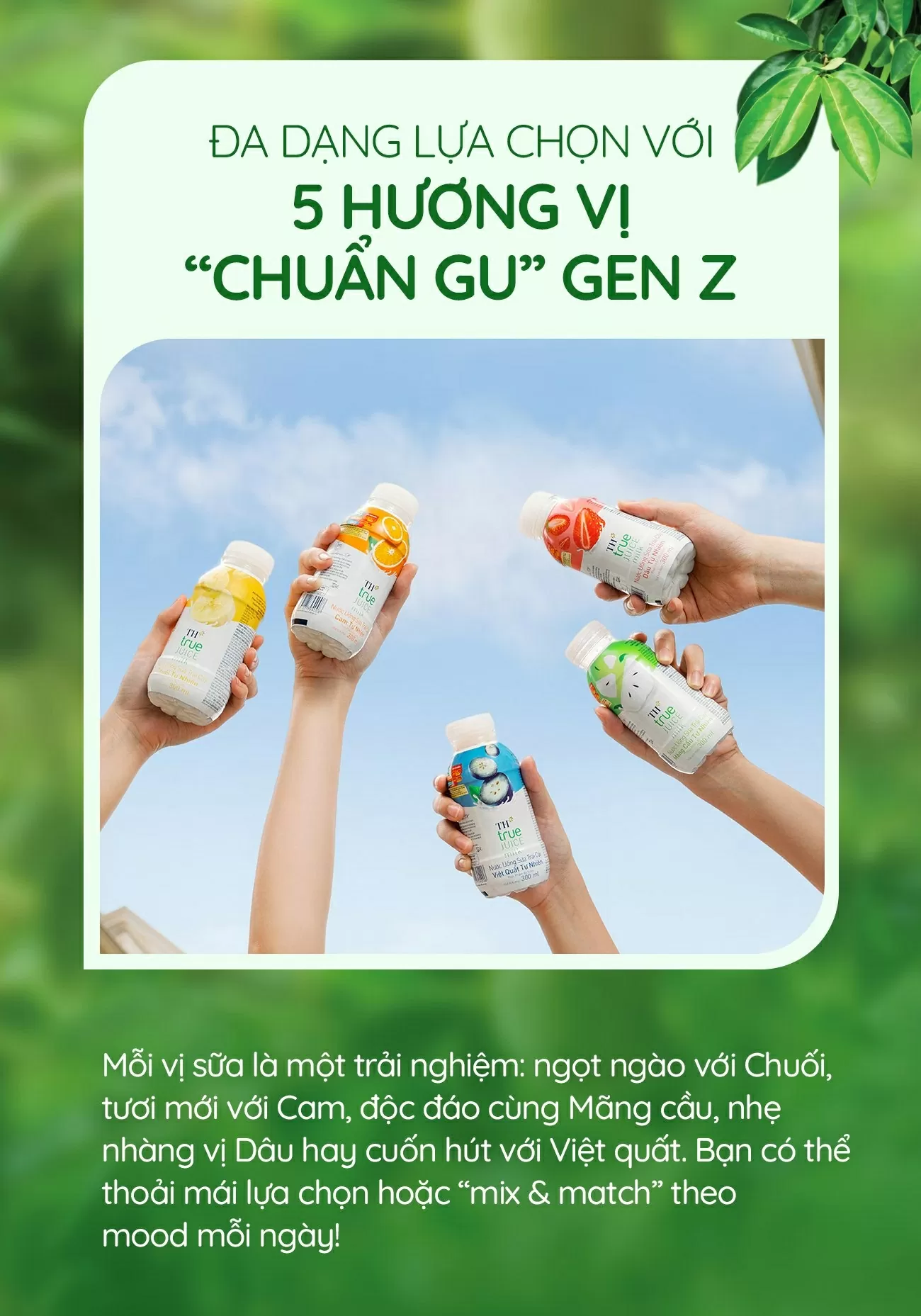 Nước uống Sữa trái cây mát lịm - thức uống giải nhiệt tiếp năng lượng cho Gen Z Nước uống Sữa trái cây mát lịm - thức uống giải nhiệt tiếp năng lượng cho Gen Z