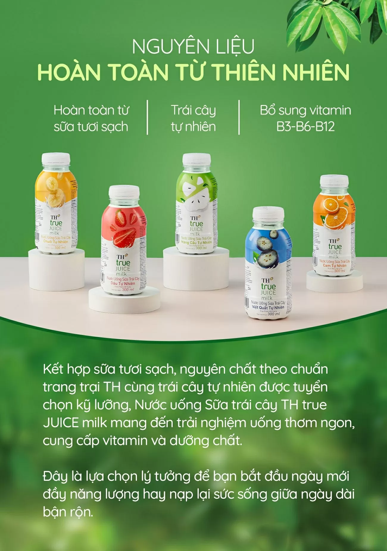 Nước uống Sữa trái cây mát lịm - thức uống giải nhiệt tiếp năng lượng cho Gen Z Nước uống Sữa trái cây mát lịm - thức uống giải nhiệt tiếp năng lượng cho Gen Z