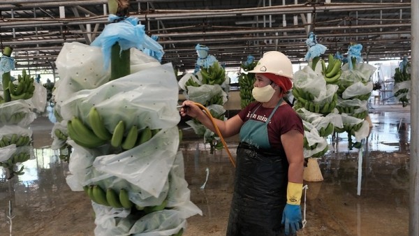 Định hình chương trình nghị sự về lương đủ sống cho người lao động ở khu vực châu Á-Thái Bình Dương