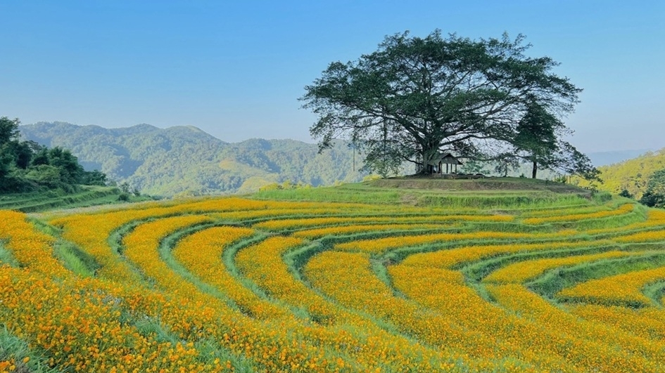 Xóm Mừng, Phú Thọ: Viên ngọc thô đang được đánh thức