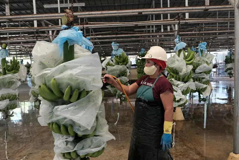 Định hình chương trình nghị sự về lương đủ sống cho người lao động ở khu vực châu Á-Thái Bình Dương