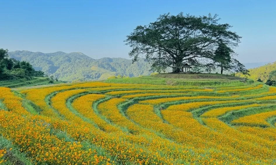 Xóm Mừng, Phú Thọ: Viên ngọc thô đang được đánh thức