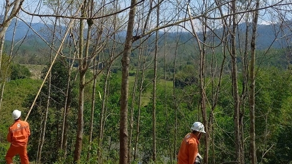 Lịch cúp điện TP. Huế hôm nay ngày 23/9/2025