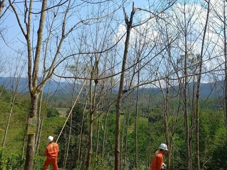 Lịch cúp điện TP. Huế hôm nay ngày 23/9/2025