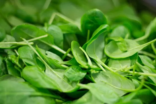 Cải bó xôi đóng vai trò quan trọng trong việc cải thiện tuổi thọ và sức khỏe