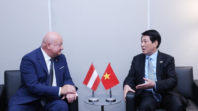 viet nam san sang lam cau noi ho tro ao tiep can thi truong asean giau tiem nang