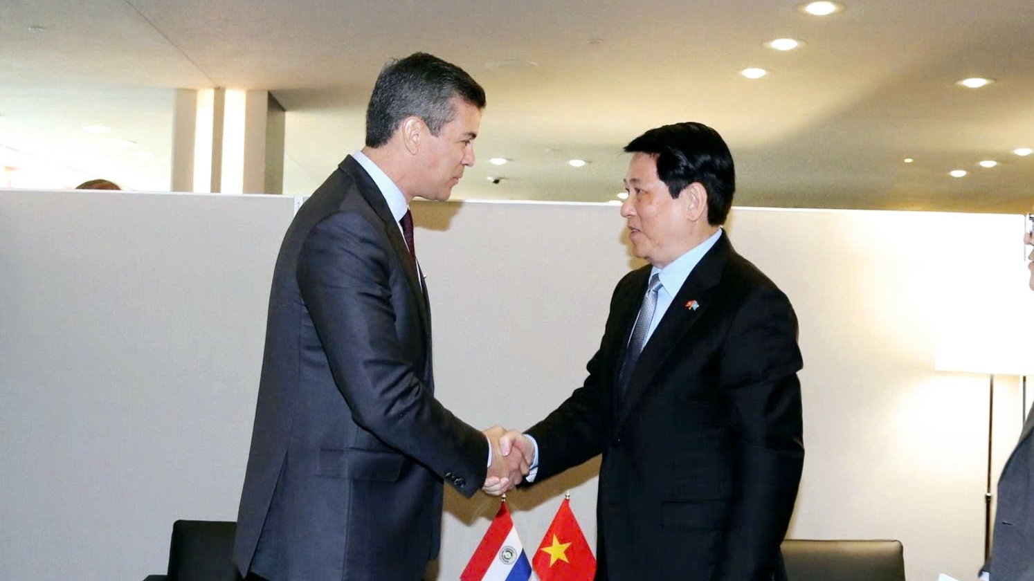 Việt Nam đề nghị Paraguay ủng hộ thúc đẩy sớm khởi động tiến trình đàm MERCORSUR