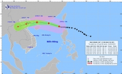 Siêu bão Ragasa trở thành cơn bão số 9; đêm 24/9 Bắc Bộ mưa to đến rất to, có nơi trên 400mm