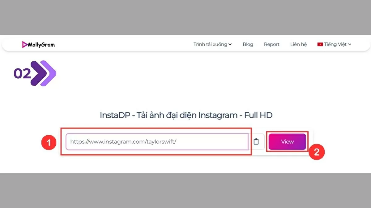 Nhập username hoặc link hồ sơ.
