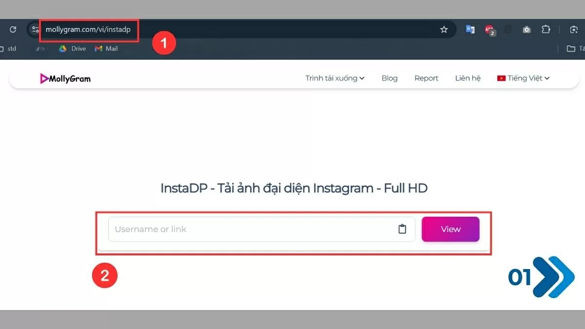 Mở Instadp trên trình duyệt.