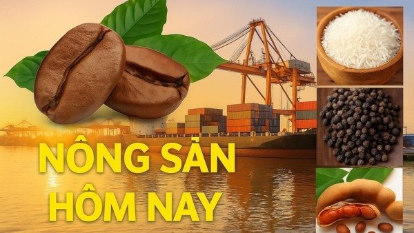 Giá nông sản hôm nay 3/12/2025: Giá cà phê lao dốc, tâm lý thận trọng của nhà đầu tư; Trung Quốc bất ngờ săn lùng một mặt hàng từ Việt Nam