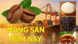 Giá nông sản hôm nay 3/12/2025: Giá cà phê lao dốc, tâm lý thận trọng của nhà đầu tư; Trung Quốc bất ngờ săn lùng một mặt hàng từ Việt Nam