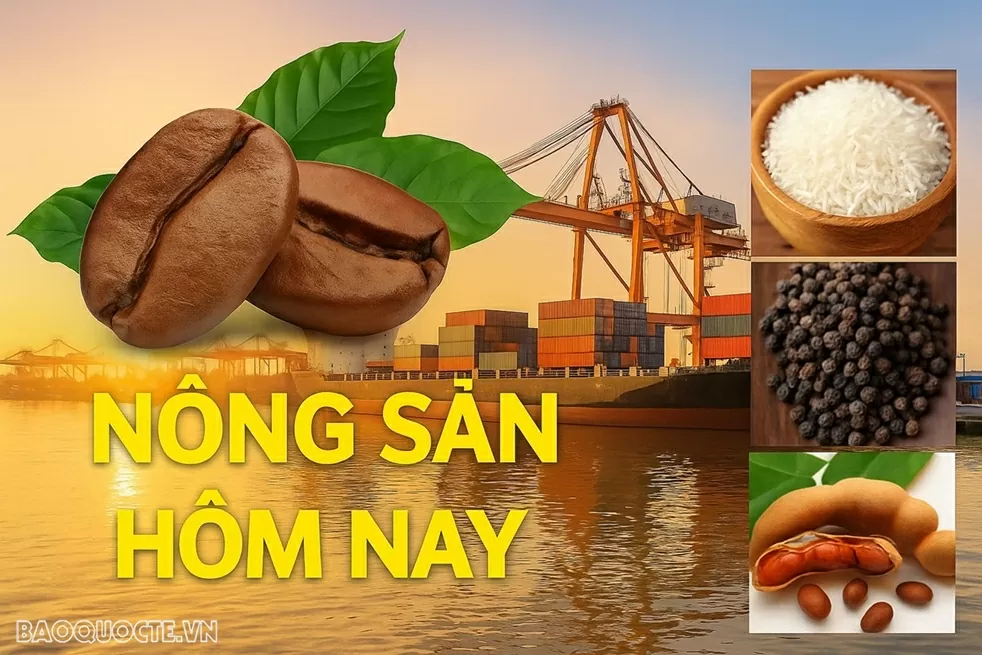 Giá nông sản hôm nay 23/9/2025: Giá cà phê, Giá tiêu giằng co;