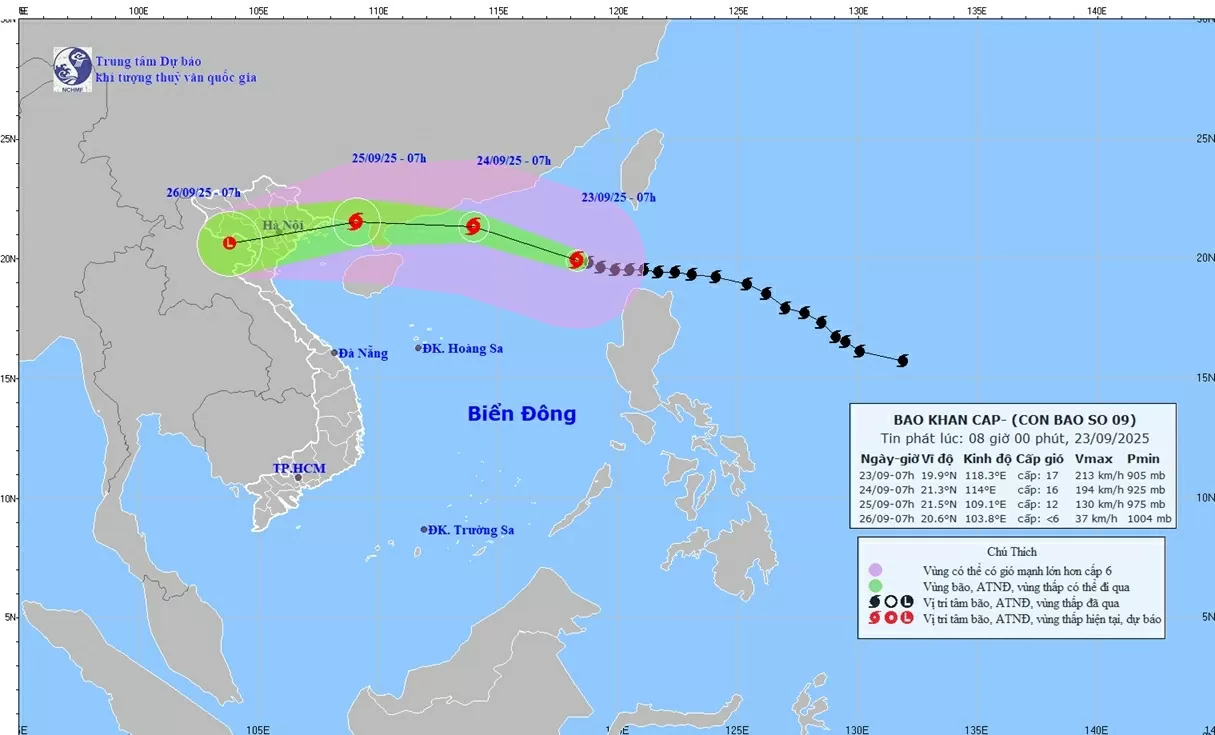 Bộ Y tế: Trực chuyên môn, sẵn sàng thu dung cấp cứu nạn nhân do siêu bão Ragasa Bộ Y tế: Trực chuyên môn, sẵn sàng thu dung cấp cứu nạn nhân do siêu bão Ragasa