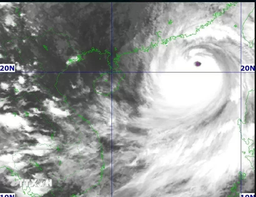 Quân đội chủ động biện pháp ứng phó bão số 9 ở mức cao nhất Quân đội chủ động biện pháp ứng phó bão số 9 ở mức cao nhất