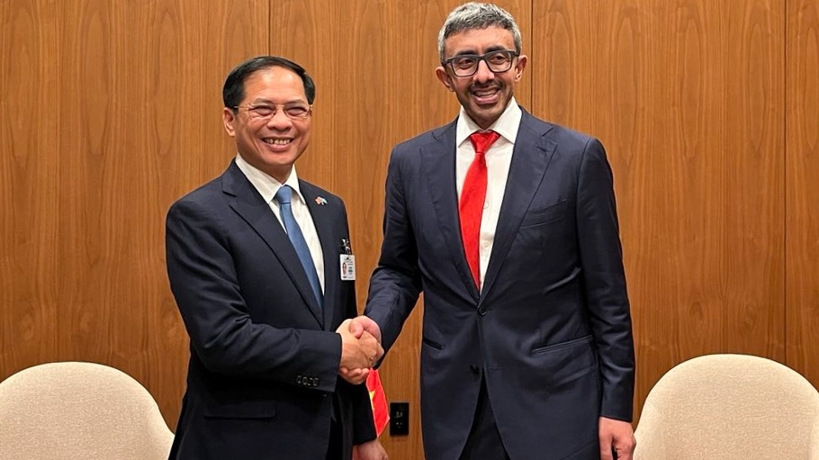 uae de xuat tang cuong hop tac lao dong dao tao nguon nhan luc chat luong cao voi viet nam