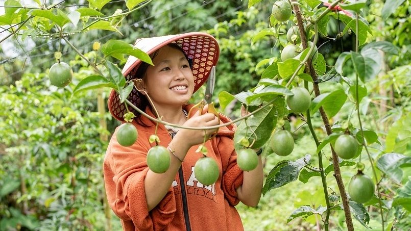 Cô gái Mông truyền cảm hứng cho cộng đồng thanh niên dân tộc thiểu số