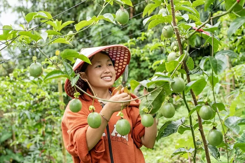 Cô gái Mông truyền cảm hứng cho cộng đồng thanh niên dân tộc thiểu số
