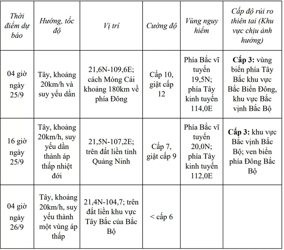 Dự báo bão số 9: Cách Móng Cái khoảng hơn 400km, chiều 25/9 tiếp tục suy yếu trên đất liền tỉnh Quảng Ninh, đề phòng mưa lớn gây ngập úng
