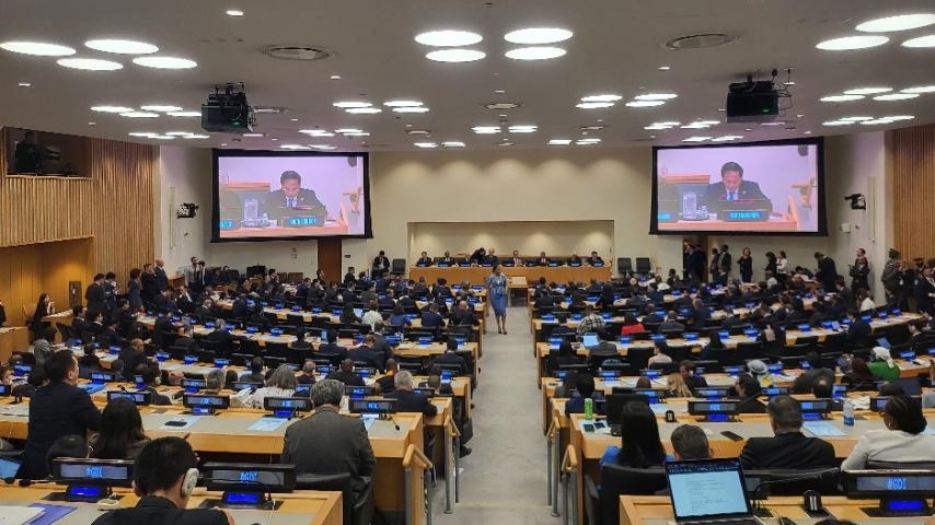 pho thu tuong bui thanh son du phien hop cap cao ve sang kien phat trien toan cau