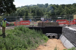 Mạch ngầm xanh giữa lòng Brighton (Anh)