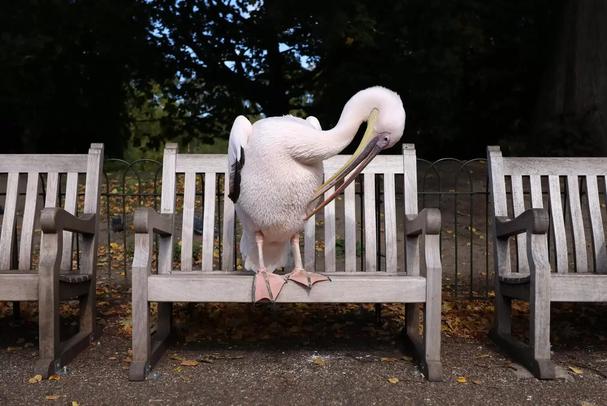 ảnh ấn tượng 28/9