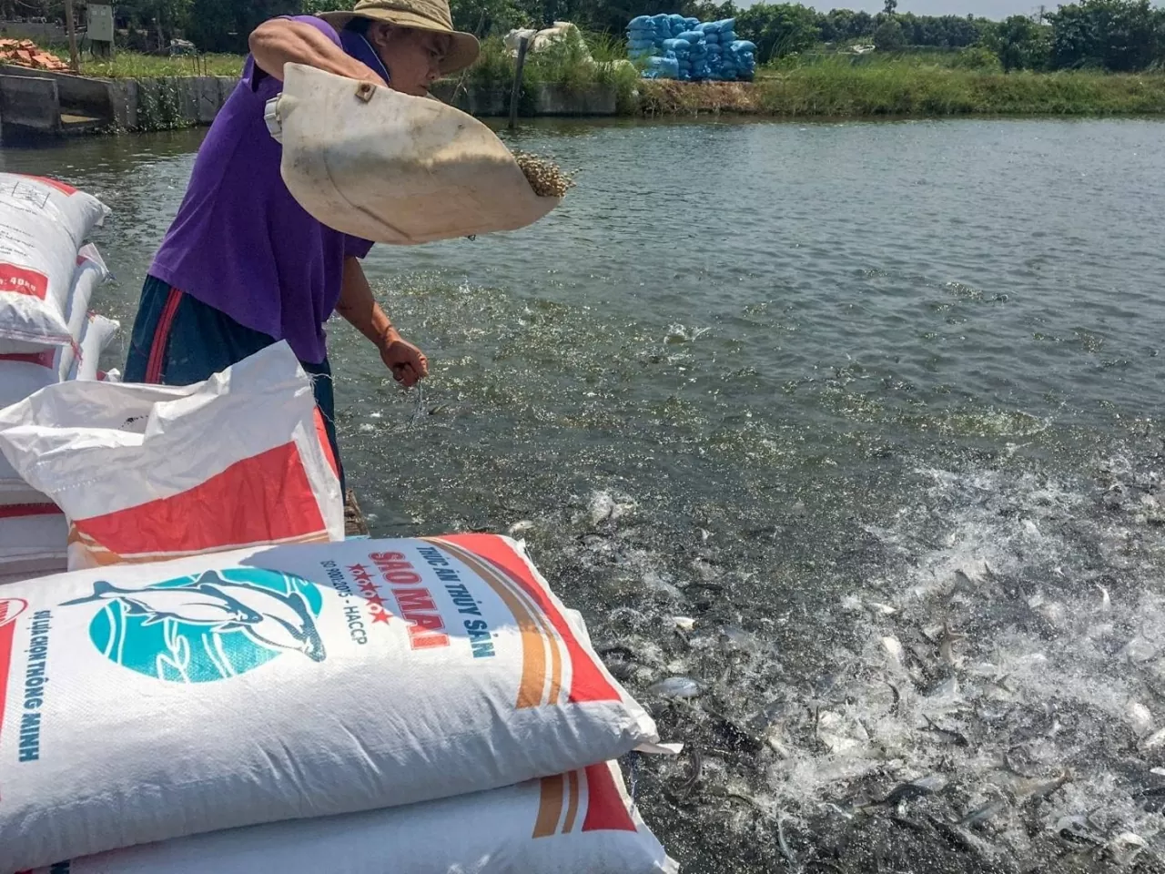 Sao Mai Super Feed Sao Mai Super Feed