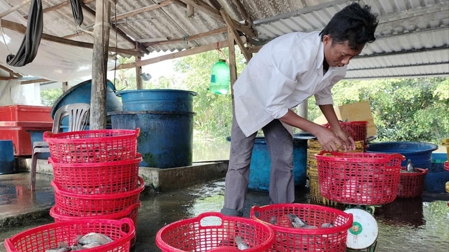 Thu hẹp khoảng cách phát triển và nâng cao đời sống đồng bào thiểu số ở Cà Mau