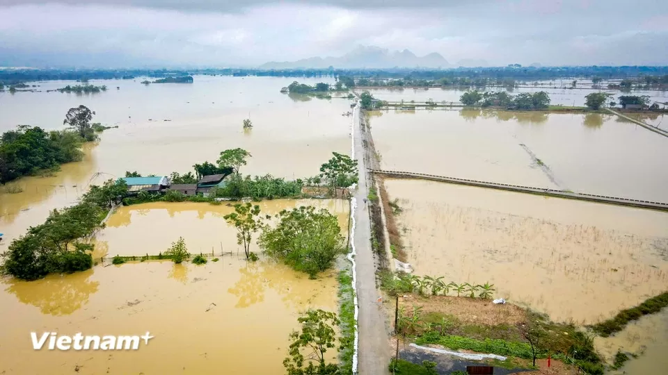 Ghi nhận ngày 1/10 tại các xã Trần Phú, Quảng Bị (TP. Hà Nội) do hoàn lưu bão số 10 gây mưa lớn, khiến nước sông Bùi dâng cao. 