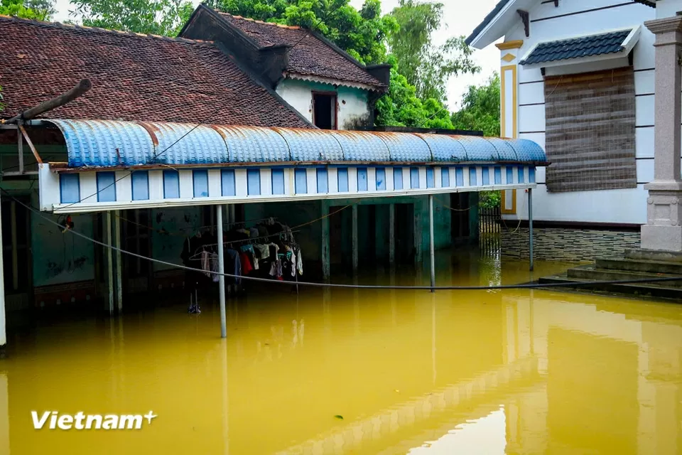 Đây cũng là tình trạng chung của nhiều hộ dân trong vùng. 
