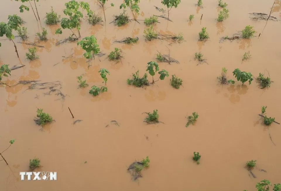 Nước sông Hồng lên mức báo động 1, nhiều sông vượt báo động 3 Nước sông Hồng lên mức báo động 1, nhiều sông vượt báo động 3