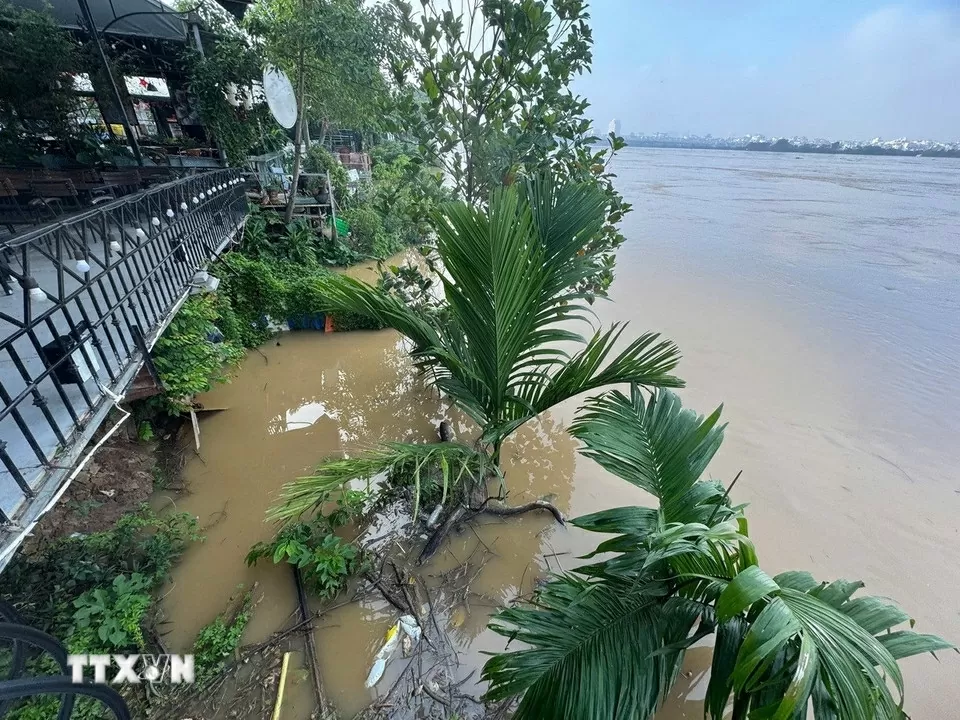 Nước sông Hồng lên mức báo động 1, nhiều sông vượt báo động 3 Nước sông Hồng lên mức báo động 1, nhiều sông vượt báo động 3