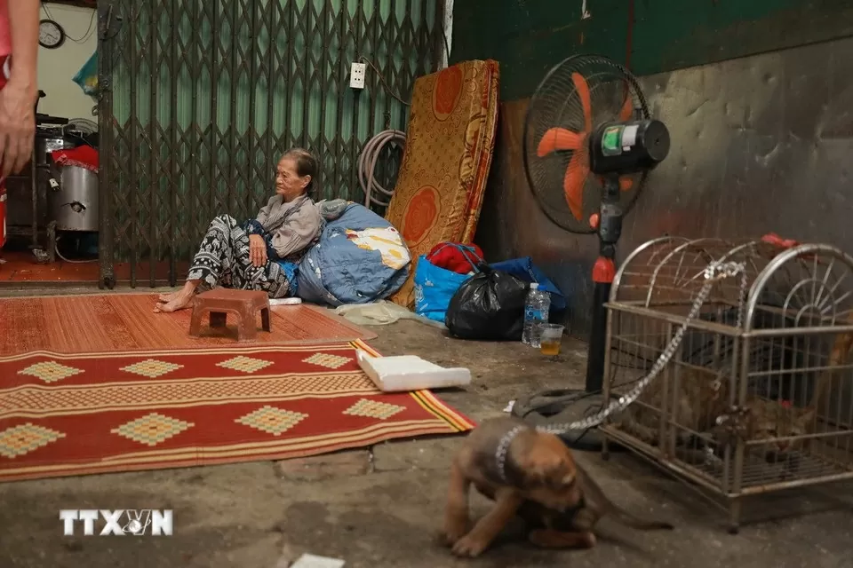 Nước sông Hồng lên mức báo động 1, nhiều sông vượt báo động 3 Nước sông Hồng lên mức báo động 1, nhiều sông vượt báo động 3