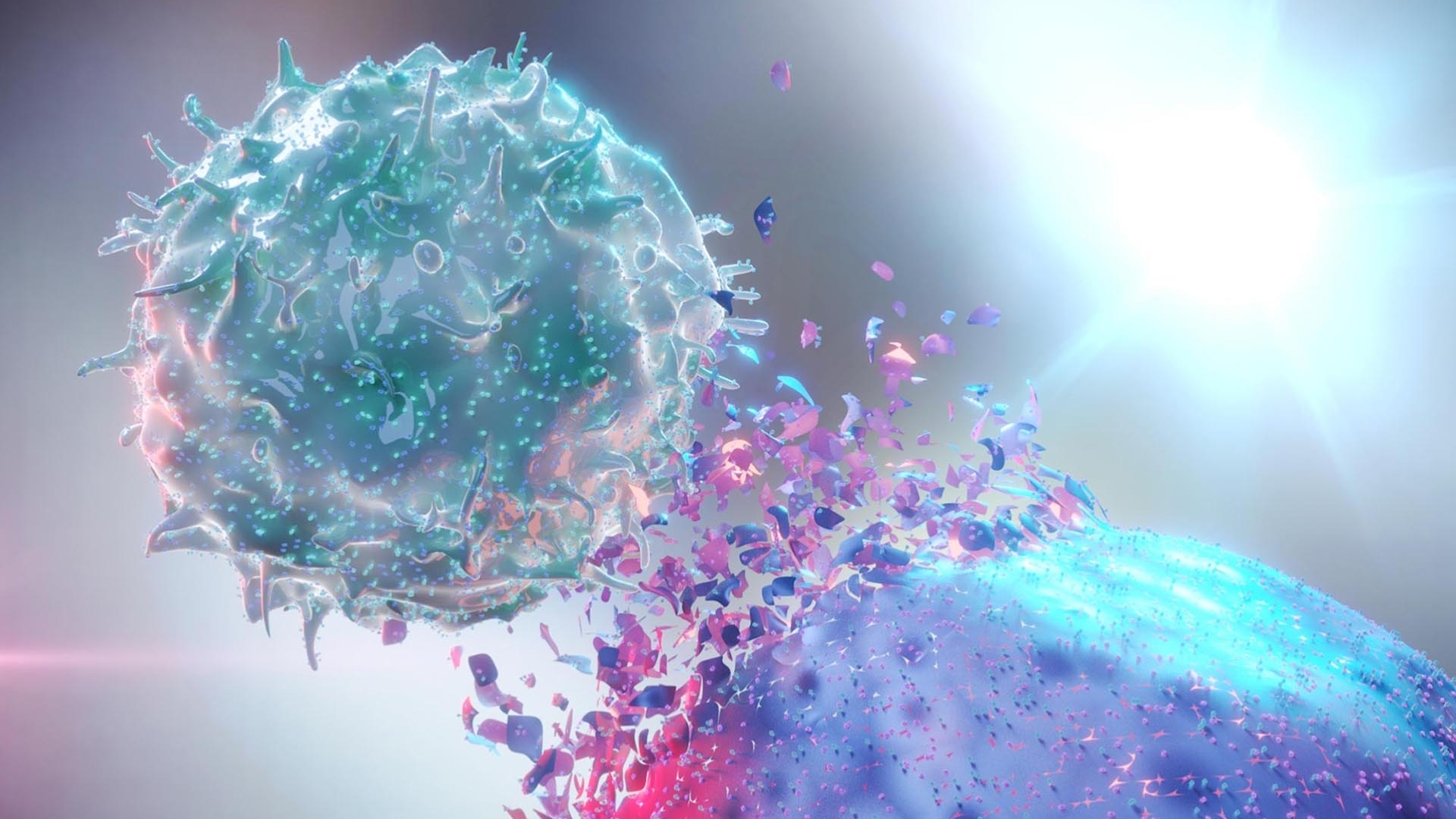 Tăng hiệu quả điều trị ung thư từ vi khuẩn