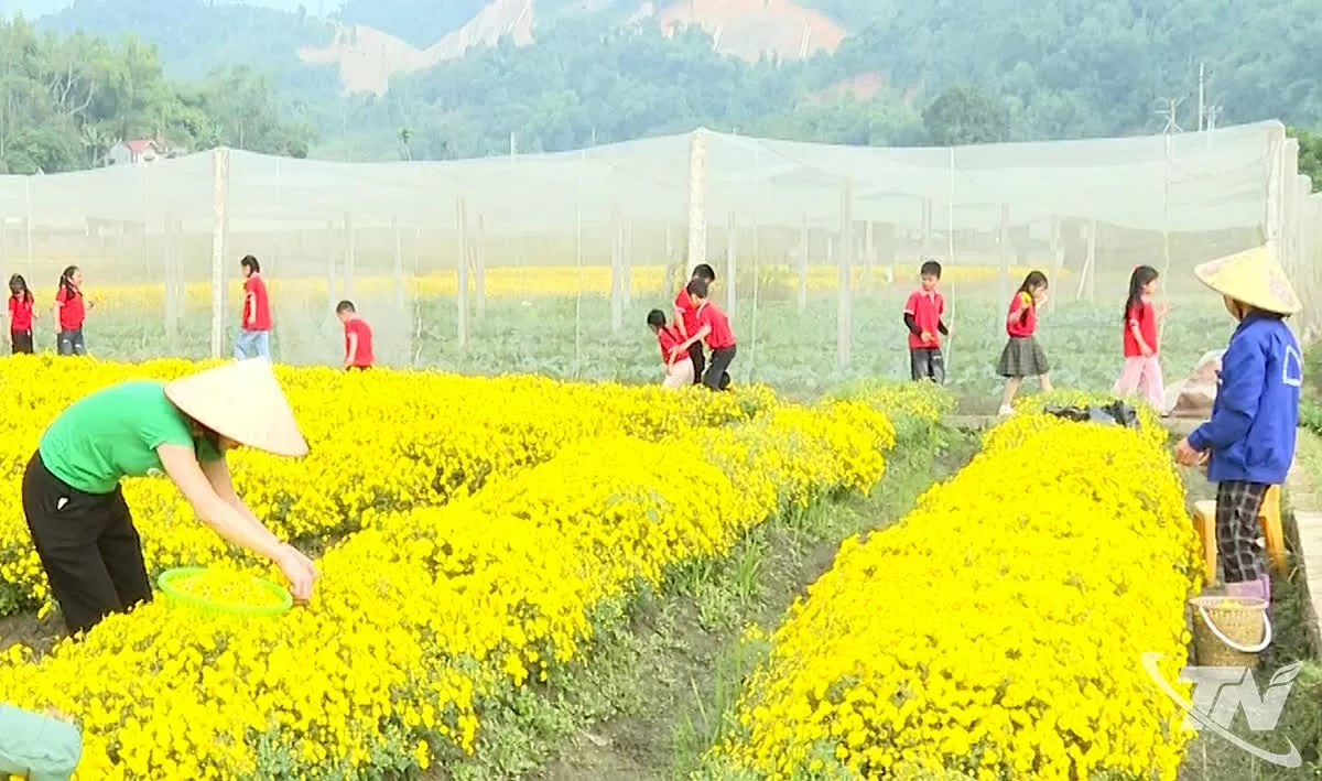 Hướng mở cho du lịch trải nghiệm nông nghiệp ở Thái Nguyên