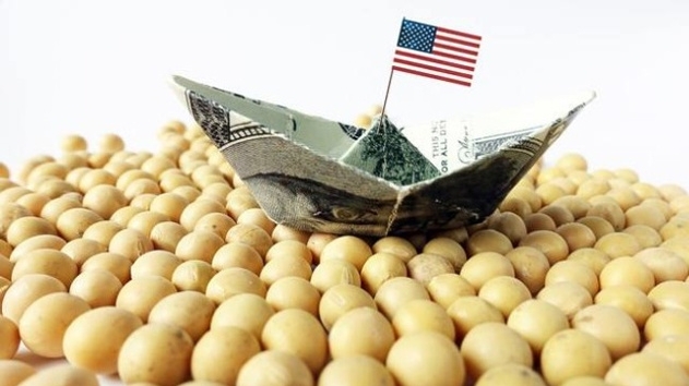 Trung Quốc ngừng nhập khẩu đậu tương lần đầu tiên trong hơn 20 năm, nông dân Mỹ 'tá hỏa' tìm kiếm thị trường mới