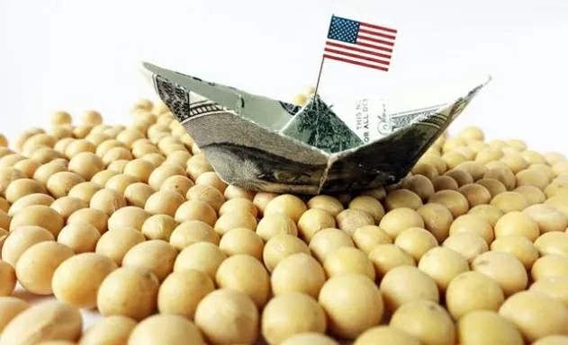 Trung Quốc - Khách hàng mua đậu tương lớn nhất và không thể thay thế của Mỹ Trung Quốc - Khách hàng mua đậu tương lớn nhất và không thể thay thế của Mỹ