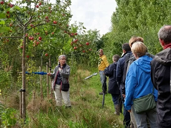 Vườn-rừng đang nổi lên như một mô hình canh tác bền vững